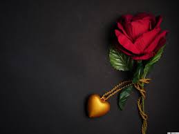 We would like to show you a description here but the site won't allow us. Hd Love In Black Background 2048x1536 Wallpaper Teahub Io