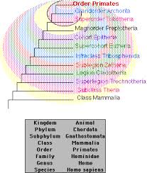 19 1 1 Taxonomy Biology Libretexts