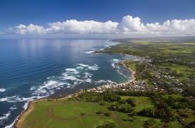 7 Things To Do In Haleiwa North Shore Turtle Bay Resort
