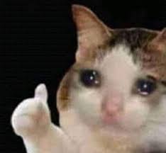Pin Oleh Dua Tiga Di Kocheng Humor Hewan Meme Binatang Binatang Lucu
