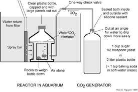 After looking at natural gas and propane generators i decided to buy a small oil lamp and see what kind of co2 it would generate. Diy Yeast Generated Co2 System