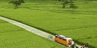 Namun ramai dikalangan orang tempatan yang tidak pernah datang ke gambar pemandangan kampung ini. 5 Hamparan Sawah Yang Menunjukkan Indahnya Indonesia Seperti Lukisan Mooi Indie Travel Tempo Co
