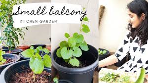 Because the spiral has high spots and low spots, it is actually a better idea for certain plants than flat gardens. Small Balcony Garden Vegetables You Must Grow Youtube