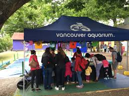 Vancouver aquarium 1759 photos 488 reviews aquariums 845. Vancouver Aquarium On Twitter The Oceanwise Education Team Is At The Vicf Until 5pm Today Come Swing By To Say Hi And Get Hands On With Our Migration Map Vancouver Https T Co Zaga73jcfs