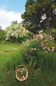 Un Jardin Pour Mettre Des Fleurs Dans Son Assiette Fleurs Comestibles Fleurs Amenagement Jardin
