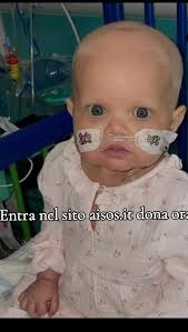 Pretend to Eat Bone to Show Rotti to Wait