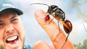 Oscar Scales's Instagram, Twitter & Facebook