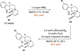 Image result for Schizozygia coffaeoides