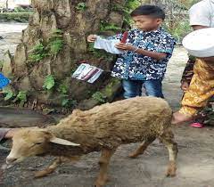 Mimpi melihat banyak kambing : Inilah Arti Mimpi Lengkap Tentang Kambing Menyembelih Memelihara Makan Daging Kambing Dan Lainya Pamarta Nusantara