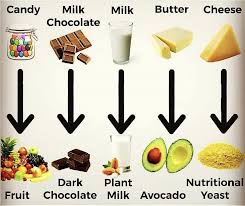 Pin By Bena B On Vegan Chocolate Fruit Chocolate Milk Healthy Recipes