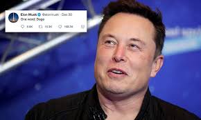 Elon musk@elonmusk 2 std dogecoin rulz drags cigarette doge? Dogecoin Digital Currency Gains 20 In Value After Elon Musk Tweet Daily Mail Online
