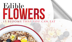 Goods and services relating to shipping; Edible Flowers 15 Blooms That You Can Eat Blog Flower Patch Online Flower Delivery Phillippines
