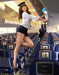 Flight Attendant Upskirt - 35 photos