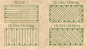 Legend Lawn Care Lawn Mowing Business Lawn Care Business Lawn Care