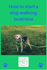 How To Start A Dog Walking Business Dog Walking Dog Walking Business Dogs