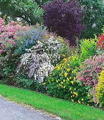 Pin Auf Garden
