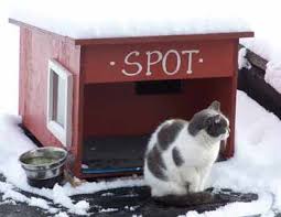 Larissa wohl is showing you how easy it is to make a cat shelter for those ferrel animals who cannot escape the cold weather. How To Build A Feral Cat Shelter Or A Outside Cat House
