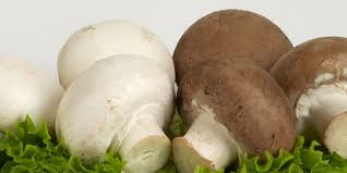 Es gibt champions welche die weise, braune, rosa, schwarze lamellen haben sind allesamt ungiftig. Bio Champignons Rpz Rheinische Pilz Zentrale