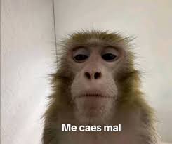 yo de la nada con mi novio Me caes mal