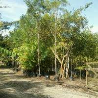 English (uk) · русский · українська · suomi · español. Tapak Semaian Sg Mau Jph Belait Government Building