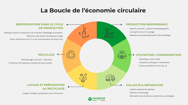 Plastique et Économie Circulaire: guide pour les entreprises | Tecnofer