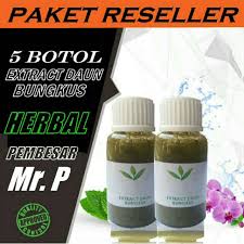 Hasil gambar untuk daun bungkus di karawang