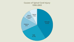 Spinal Cord Injury Making A Difference Tomorrow