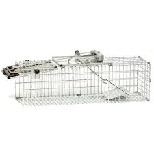 How to trap a rat. Havahart Easy Set Small 1 Door Animal Trap The Home Depot Canada