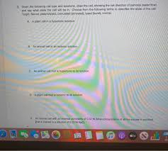 Maybe you would like to learn more about one of these? 2 Given The Following Cell Type And Solutions Draw Chegg Com