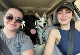 Hi! We are looking for a fourth roommate to fill out the last room of our 4  bedroom in East Austin starting August 4! Who we are: Millie, Taylor,  Jesse, and Dolly