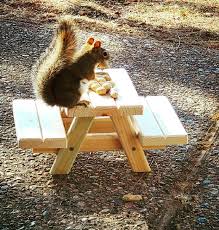 Squirrel Picnic Table Feeder In 2020 Picnic Table Squirrel Squirrel Feeder