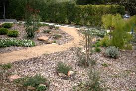 Westringia ('funky chunky'), pilotheca ('cascade of stars') and callistemon species are three good choices. Modern Australian Native Garden Archives Mallee Design