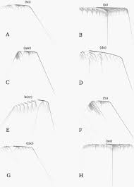 And these are capable of transforming an absolute no help make that happen guys and drop some of your favorite high emotion words in the comments … you're looking to add some emotive language to your aresenal, bushra azhar has a great list of. Whoooaaa Duuuuude Why We Stretch Words In Tweets And Texts Wired