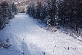 See 12 traveler reviews, 44 candid photos, and great deals for hotel nemira, ranked #2 of 5 hotels in slanic moldova and rated 4.5 of 5 at tripadvisor. Prima PaginÄ Partia Nemira