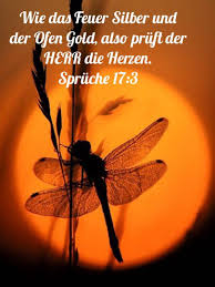 Pin Von Esti Re Auf Ermutigung Christliche Spruche Bibel Vers Gottes Wort