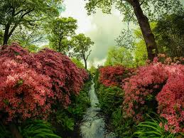 The demon prince and his disrespected brother, exactly what kind of relationship do they have with. 23 Stunning Places To See Spring Flowers In London Parks And Gardens