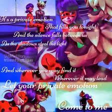Liquifiedstars On Instagram Ladynoir Private Emotion Edit S Miraculous Ladybug Funny Miraculous Ladybug Anime Miraculous Ladybug Wallpaper