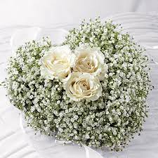 Maybe you would like to learn more about one of these? Splendid Grace Lougheed Flowers