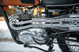 Image result for Honeysuckle 1972 Triumph