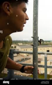 Jaime Buenrostro's Instagram, Twitter & Facebook