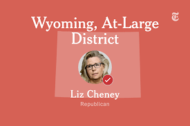A further 62 percent said they hadn't heard enough to take a view. Wyoming At Large Congressional District Results Liz Cheney Vs Lynnette Grey Bull The New York Times