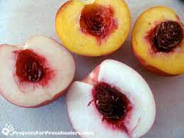 We did not find results for: Peachy Taste Test And Peach Cobbler Projects For Preschoolers