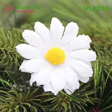 Image result for foto Kopretina