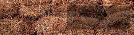 So even on landscapes with a considerable slope the pinestraw will not wash. Wholesale Pine Straw Atlanta Georgia Florida Putnals Premium Pine Straw