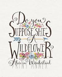 Do You Suppose She S A Wildflower Alice In Wonderland Hush Now Alice Wonderland Quotes Mermaid Quotes Wonderland Tattoo