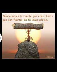 Assim, reconheça suas forças pessoais. Apuntalando La Resiliencia Como Desarrollar Una Personalidad Resistente