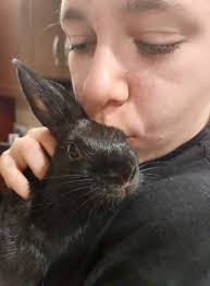 Fostering Bunnies in New Jersey, Opening Homes to Those in Need