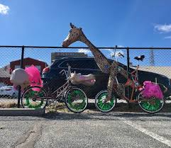 A Recap Of Mardi Gras Weekend: The Good, The Bad, And The Weird