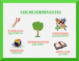 Imagen relacionada