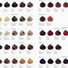 Permanent chart ion demi color hair. Hair Color Chart 2018 Crian